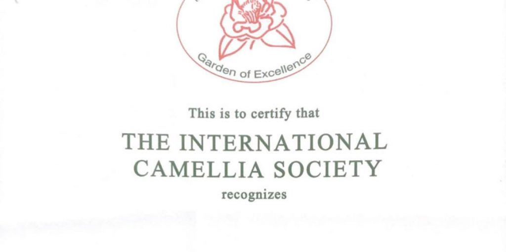sociedad-internacional-camelia