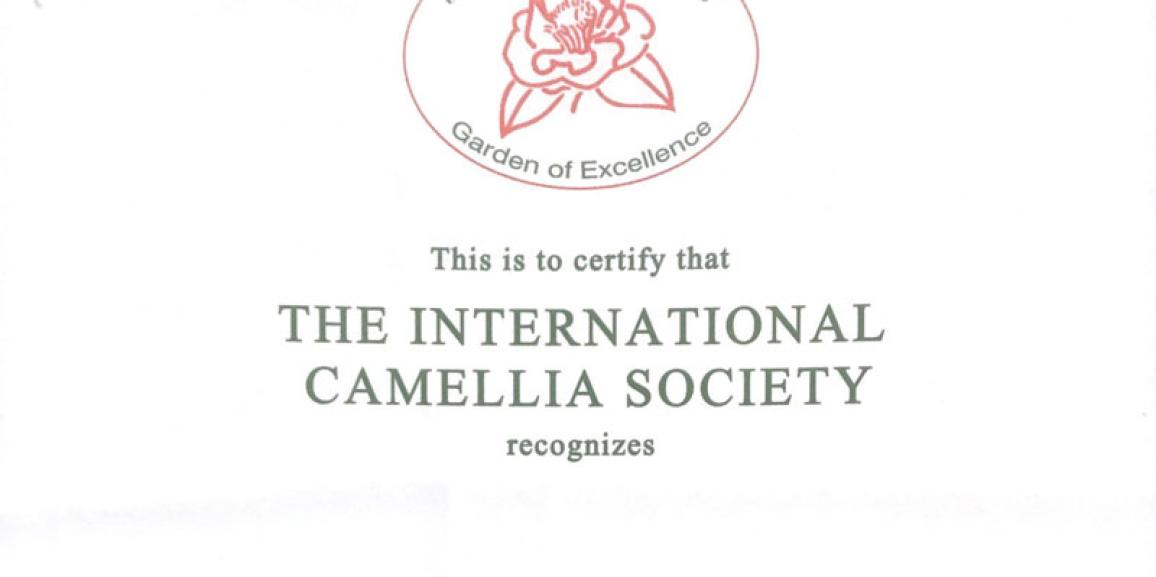 sociedad-internacional-camelia